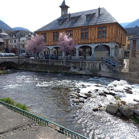 Appartement 2 A 4 Personnes Le Pyreneen A Arreau Carrefour Des Activites De Montagne エクステリア 写真