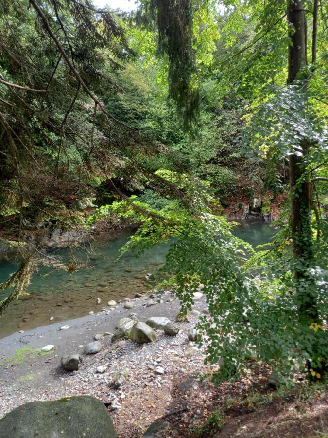 Appartement 2 A 4 Personnes Le Pyreneen A Arreau Carrefour Des Activites De Montagne エクステリア 写真