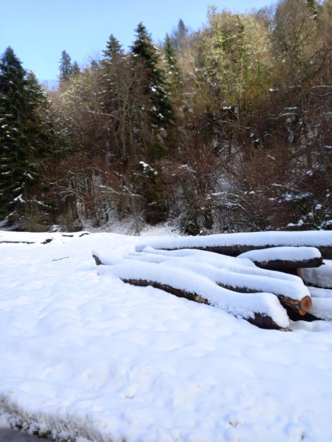 Appartement 2 A 4 Personnes Le Pyreneen A Arreau Carrefour Des Activites De Montagne エクステリア 写真